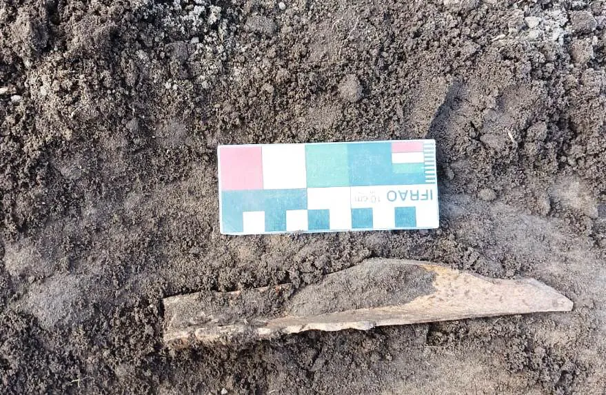 WhatsApp Image 2023-06-29 at 20.12.14