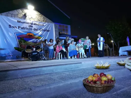 FIESTA PROVINCIAL DEL PELÓN