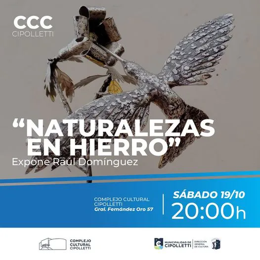 54073319886_d63ff8f695_o