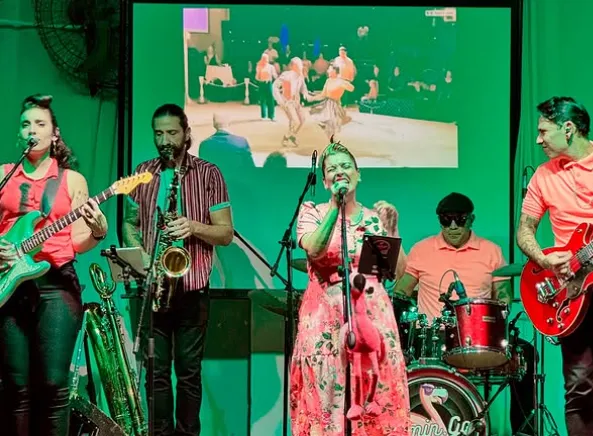 Flamingo Band