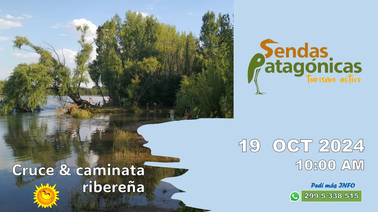 WhatsApp Image 2024-10-16 at 18.53.10 (1)