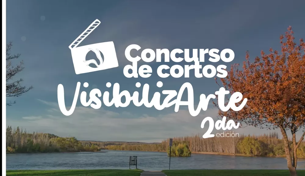 concurso de cortos