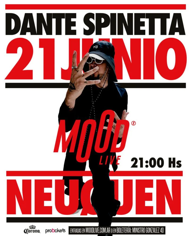Feed-DanteSpinetta-scaled
