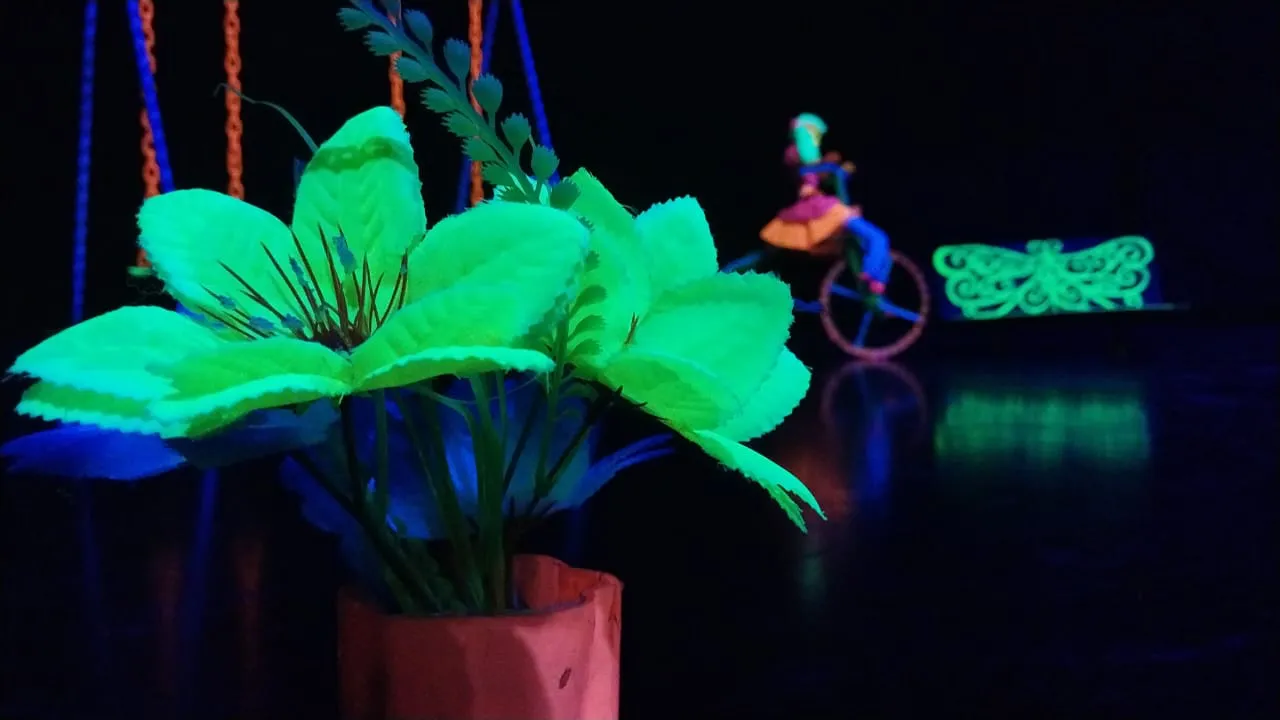Cortitas de Luz 1