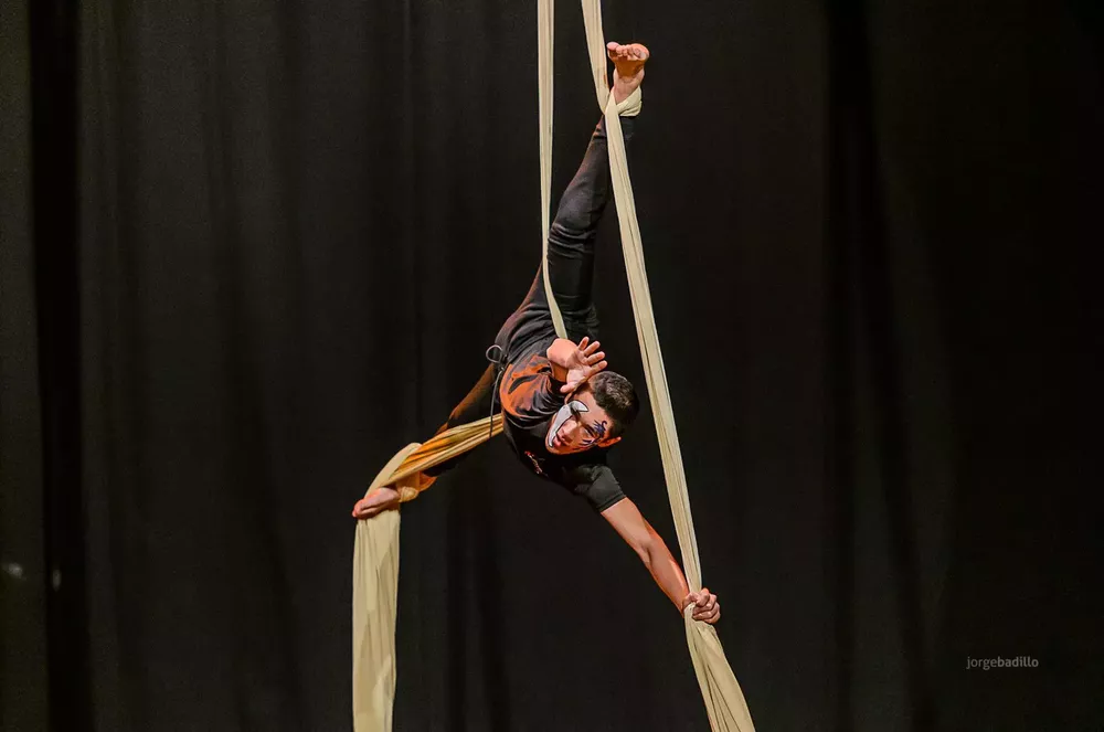 Torneo Patagónico de Acrobacia Aérea