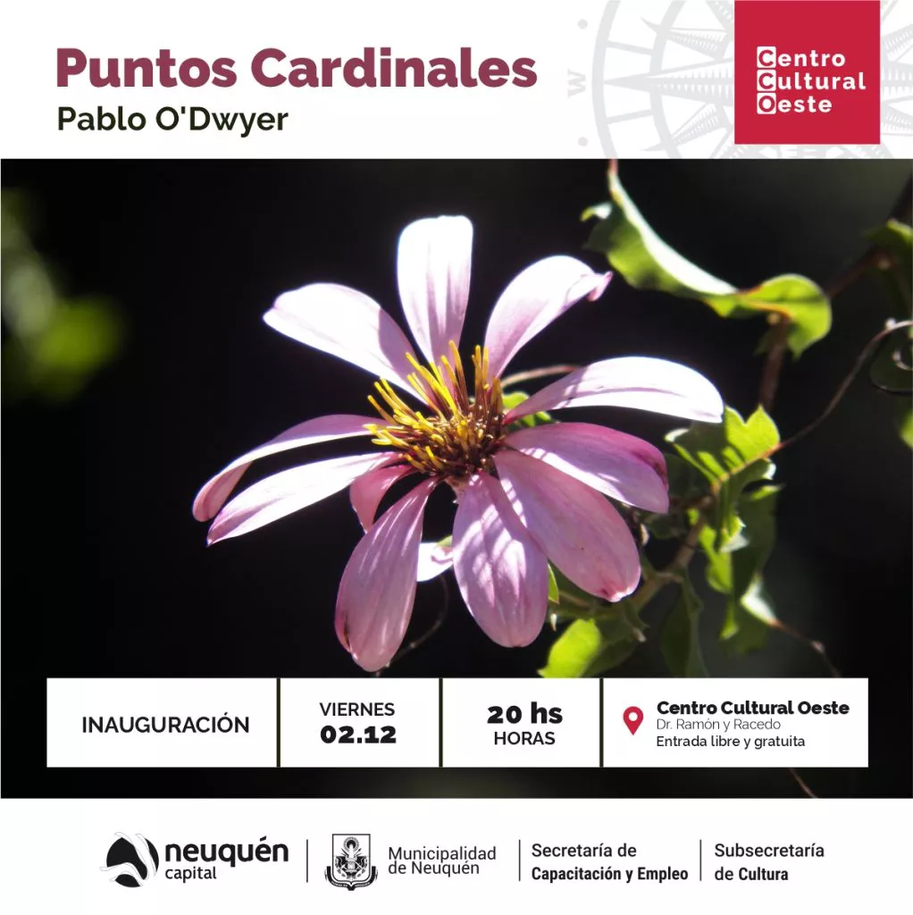 MUESTRACCO_PUNTOSCARDINALES-1022x1024