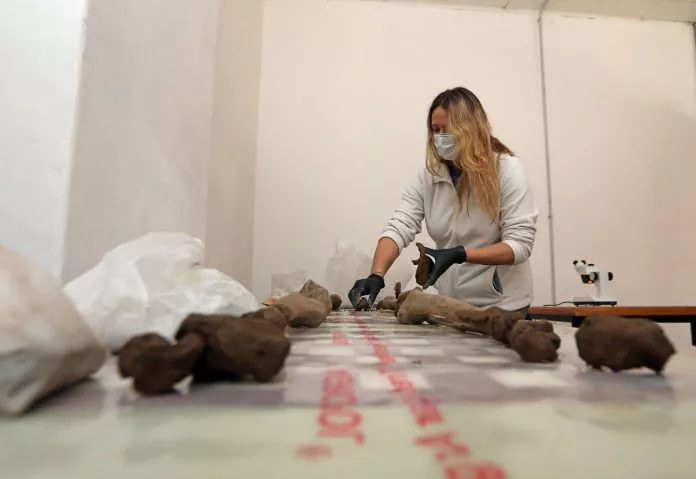 Piezas obtenido al cabo de varias campañas serán analizadas en un laboratorio especializado en datación.