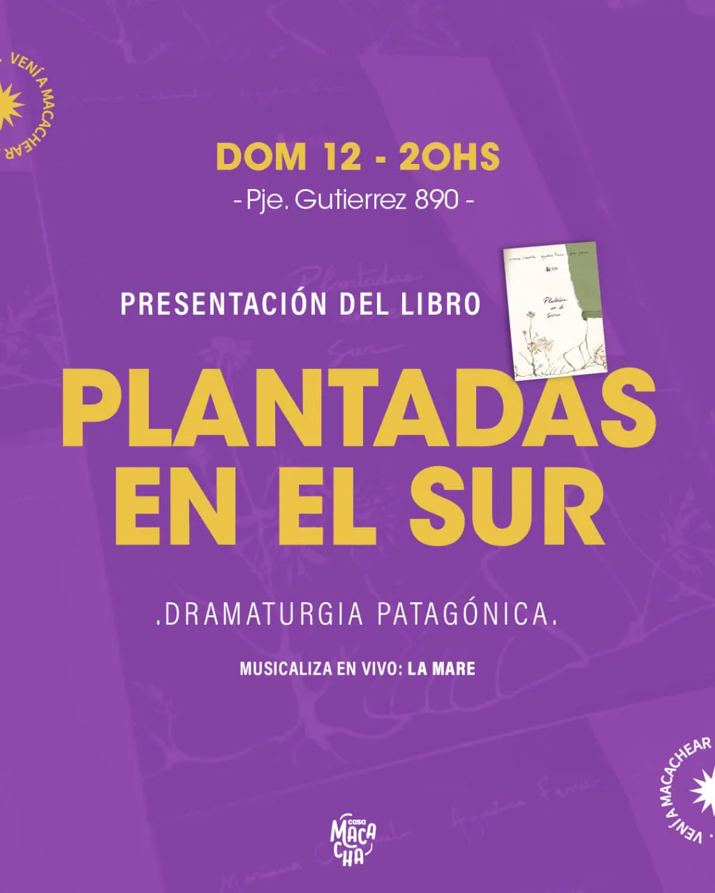 WhatsApp Image 2025-01-05 at 22.50.40