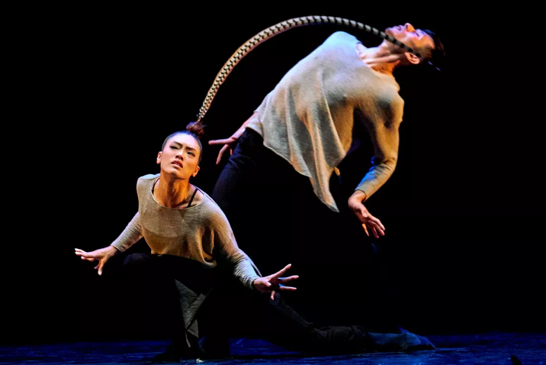coreografos