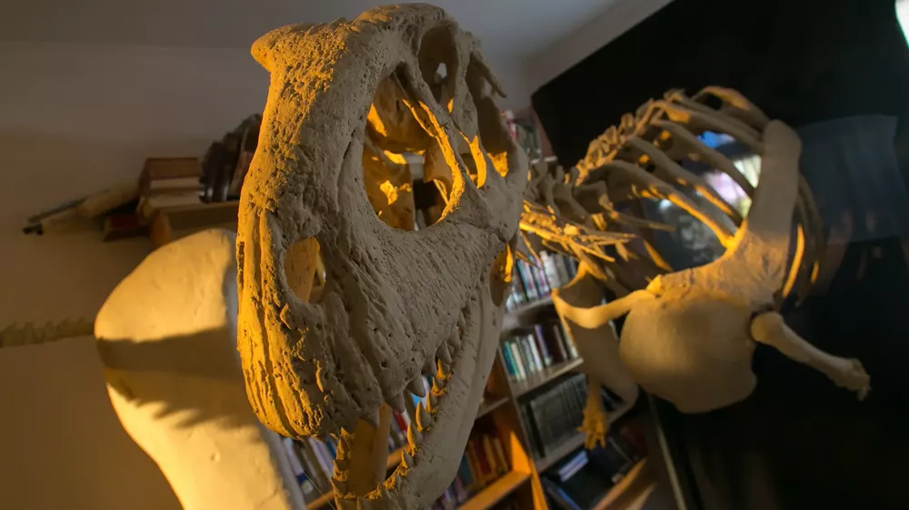 Muestra “Dinosaurios y otras bestias prehistóricas”
