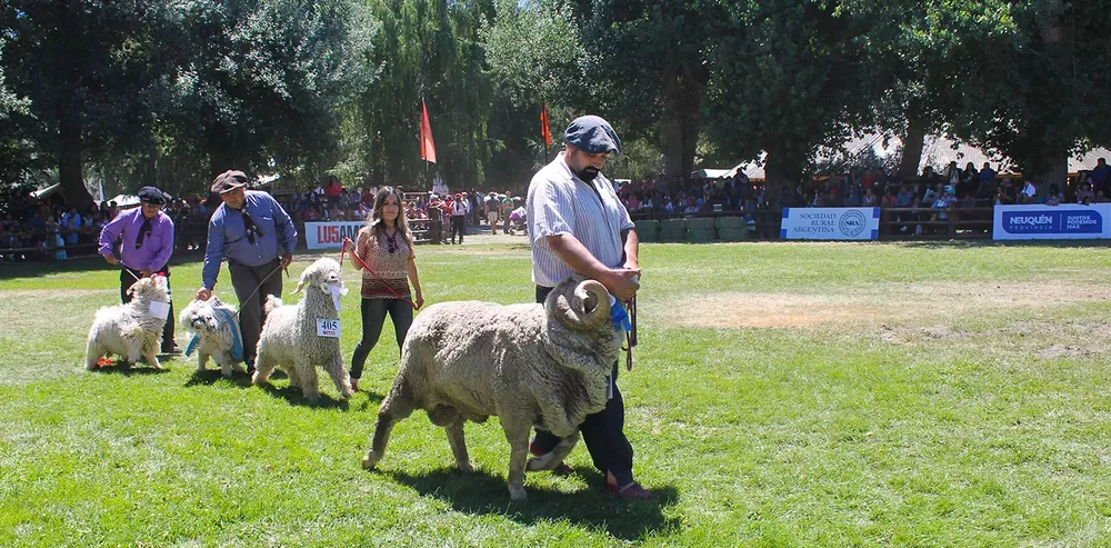 Muestra Ganadera y Fiesta Tradicionalista en Loncopué