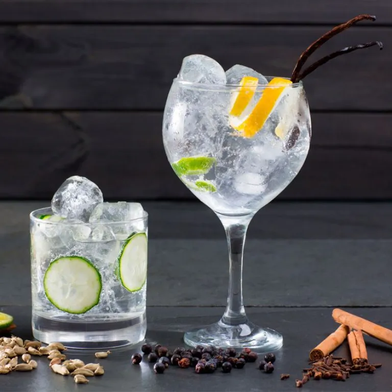 Festival del Gin Neuquén