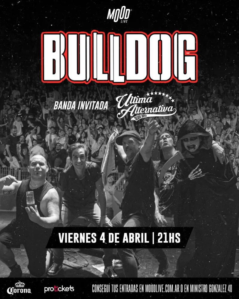 Feed_BULLDOG-scaled
